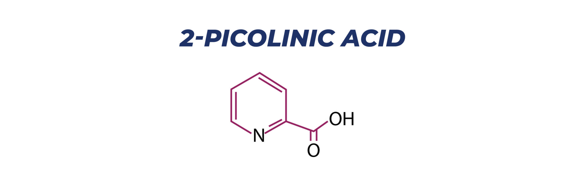 In Focus 2Picolinic acid ExSyn